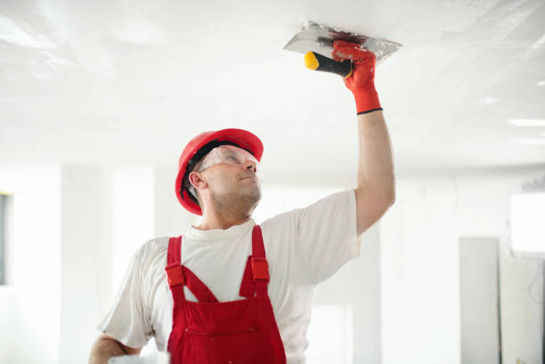 Best Drywall Installation  in University Heights, IA